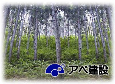アベ建設 イメージ